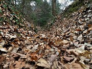 19 Tratto di sentiero ammantato di foglie
